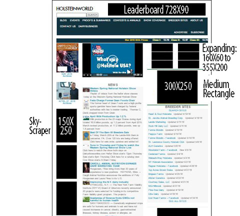 DairyBusiness & HolsteinWorld